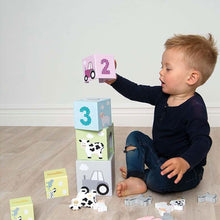 Load image into Gallery viewer, Stacking cubes animals
